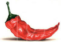 artist of red peppers